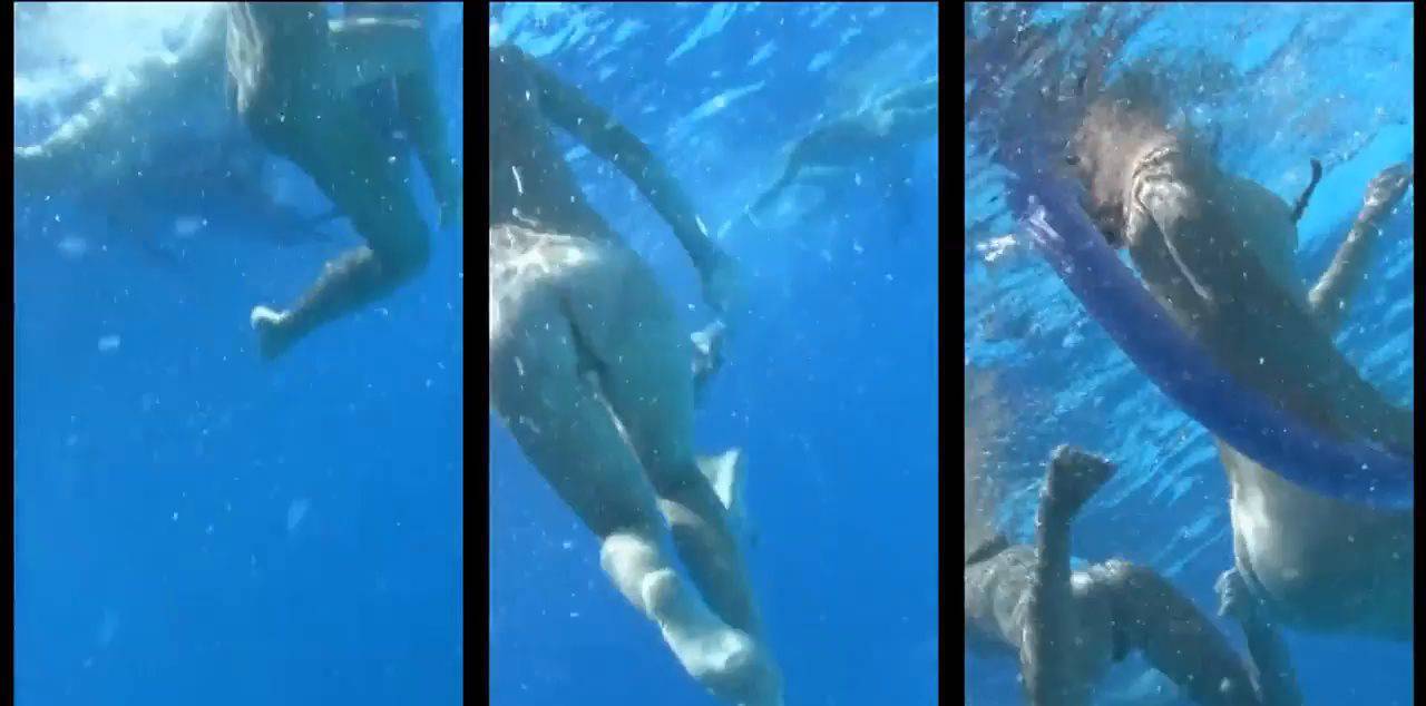 Amazing Dolphin Encounter - 2